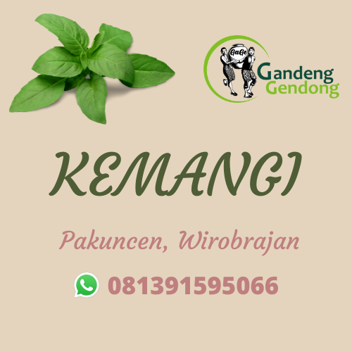KEMANGI