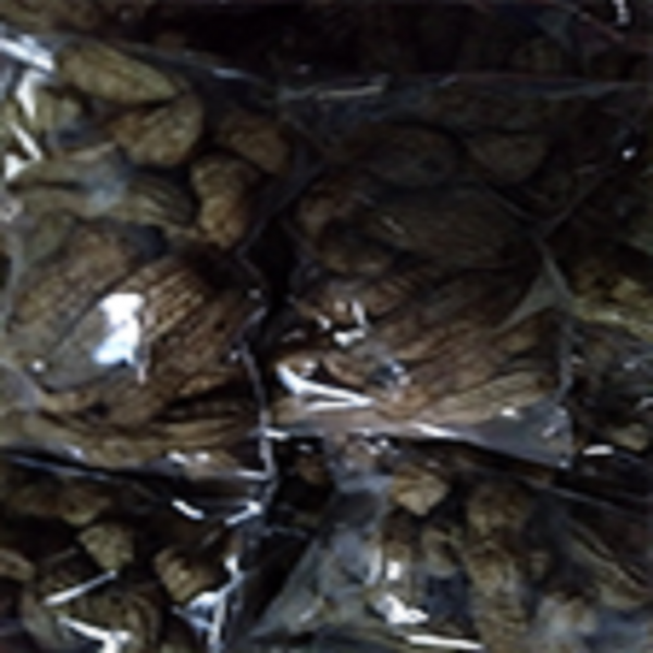Kacang Godok