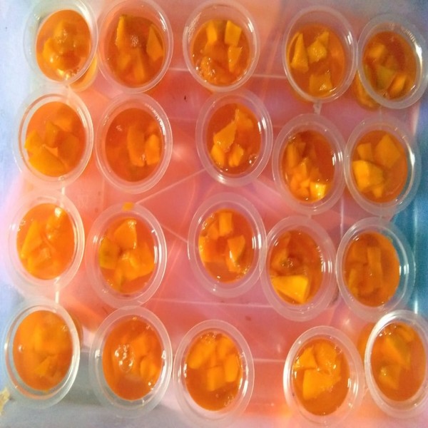Puding Jeruk