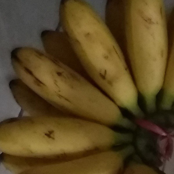 Buahpisang
