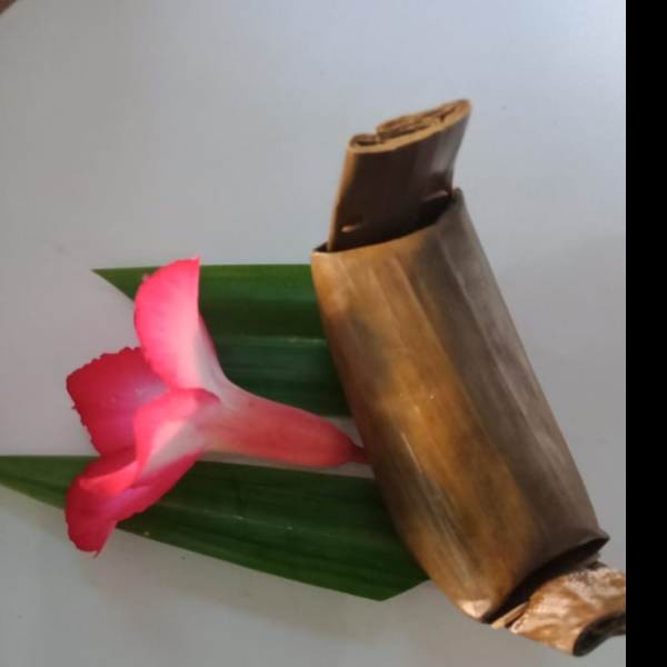 Lemper Ayam
