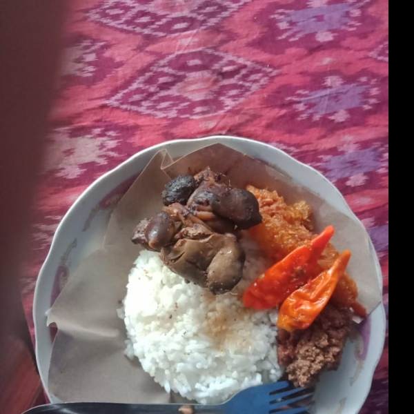 Nasi Gudeg Ampela