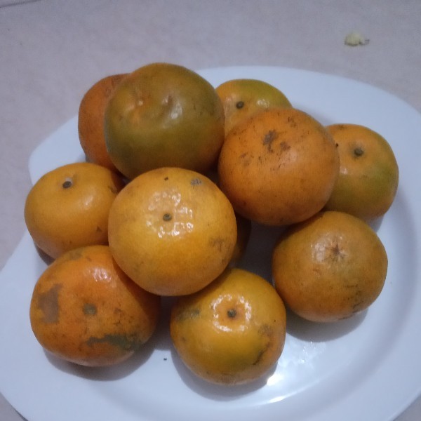 Buah