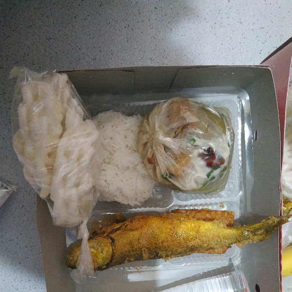 Nasi lodeh terong