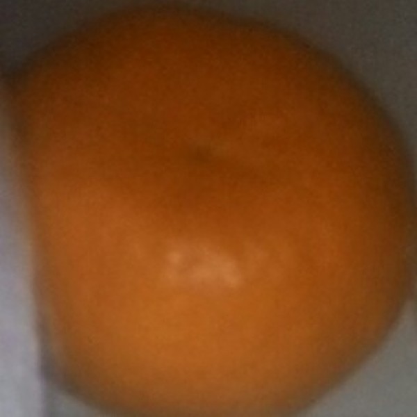 Buah Jeruk
