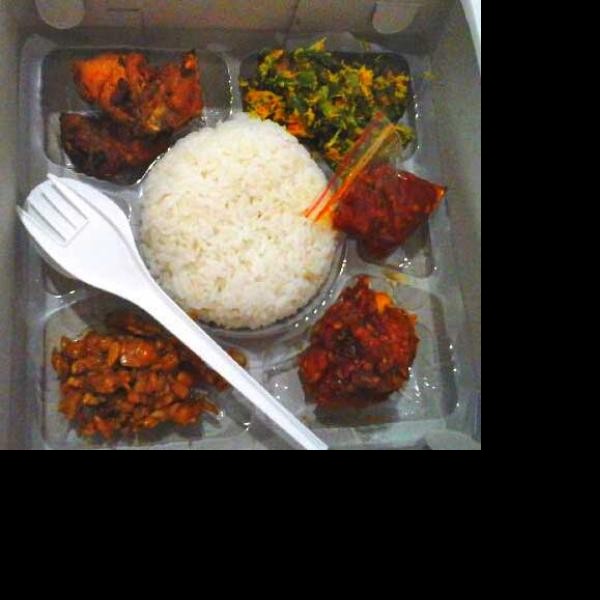 Nasi kotak