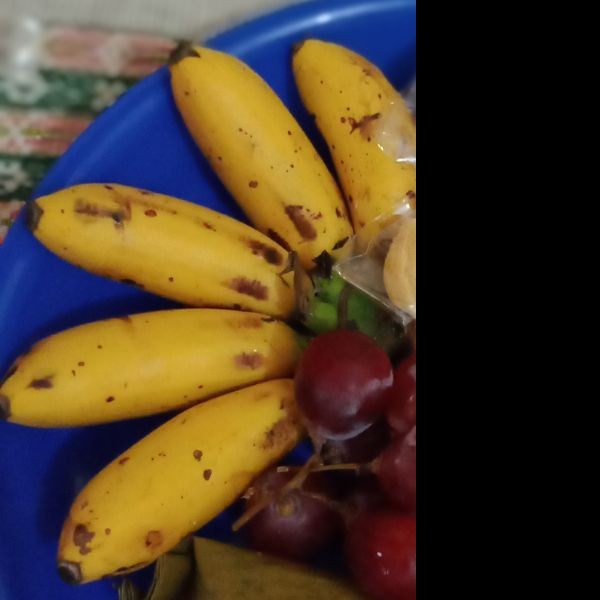 Pisang 