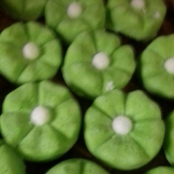 Putu ayu