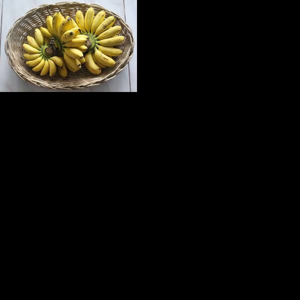 pisang Fresh