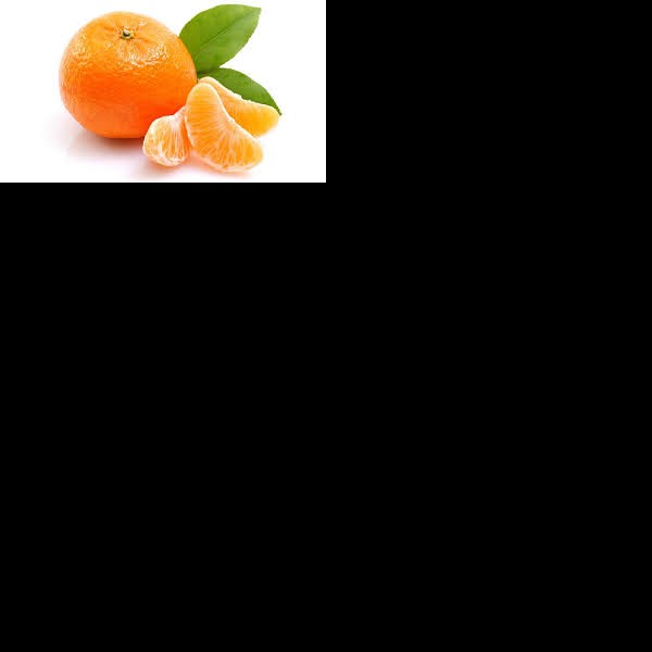jeruk fresh