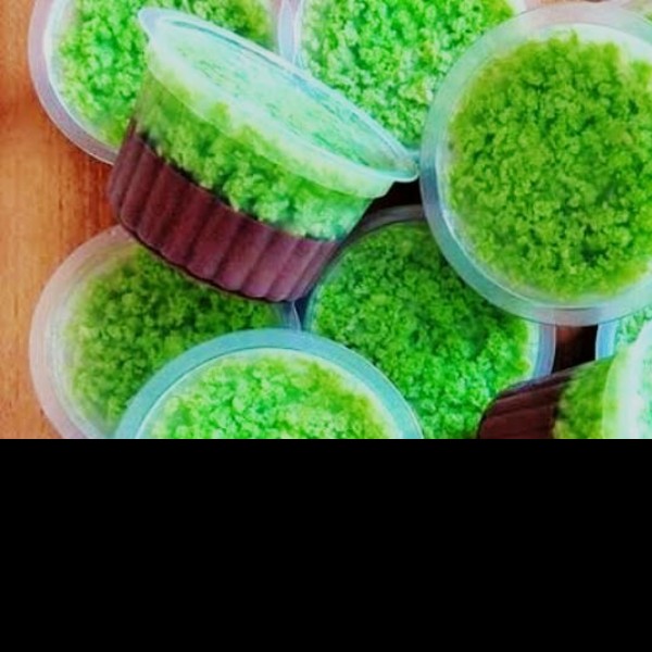 Puding lumut