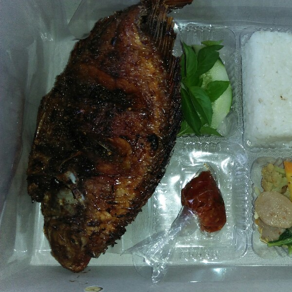 Nasi bok