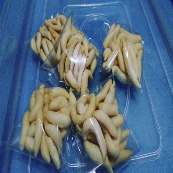 Aneka kletikan