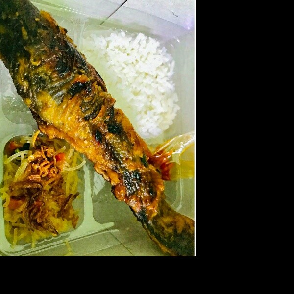 Nasi Lele