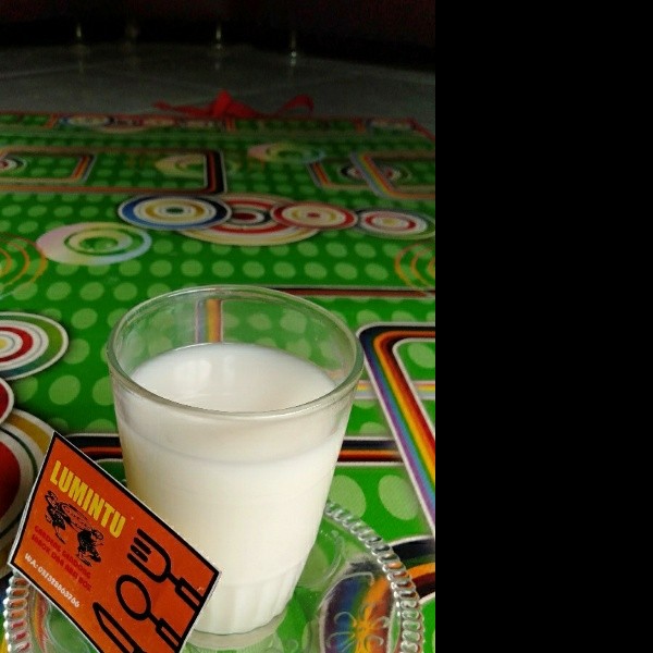 Susu 