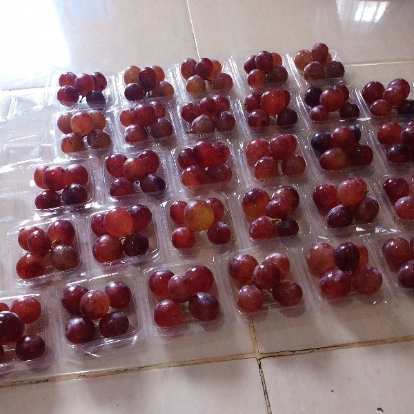 Buah anggur