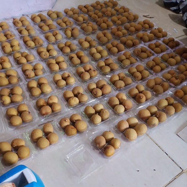 Buah kelengkeng