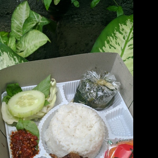 Nasi Ayambakar