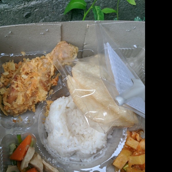 Nasiayamtelur