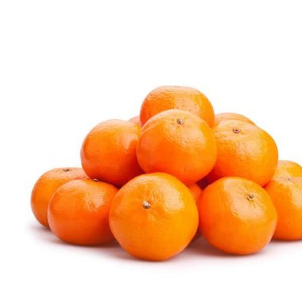 BUAH JERUK