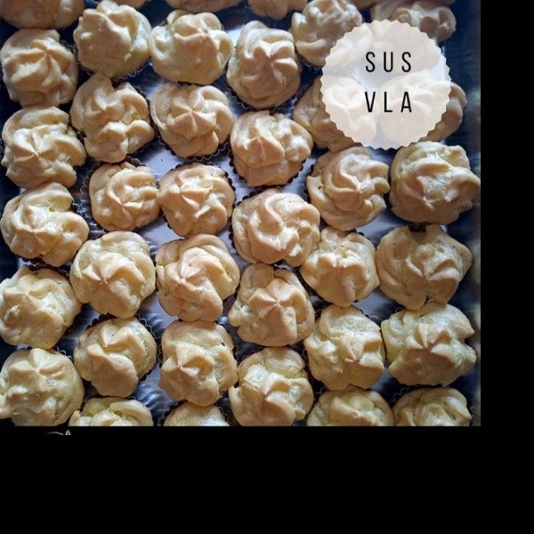 Sus vla