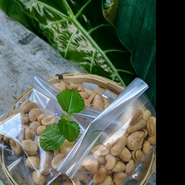 Kacang bawang