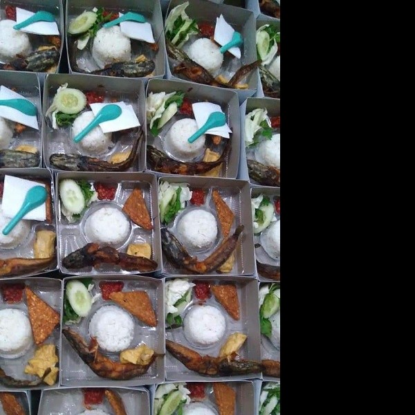 Nasi lele + tem