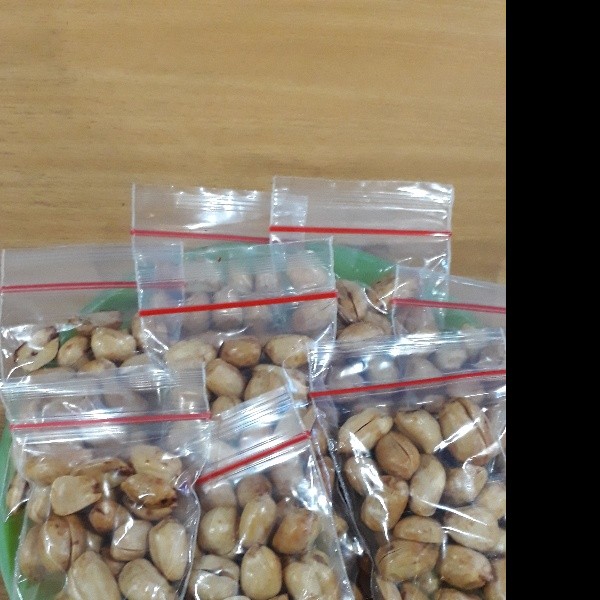 Kacang bawang