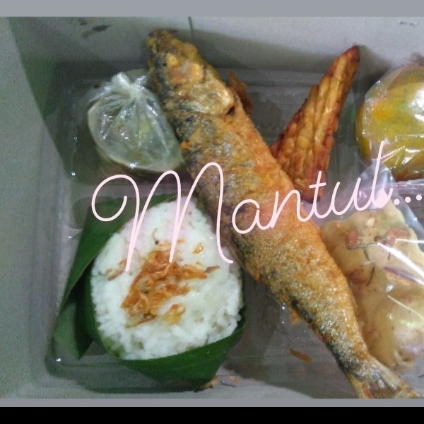 Nasi lodeh