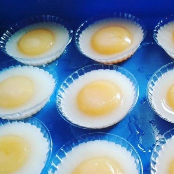 Puding telur