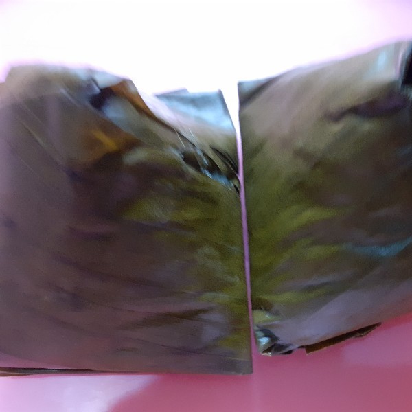 Nogo sari