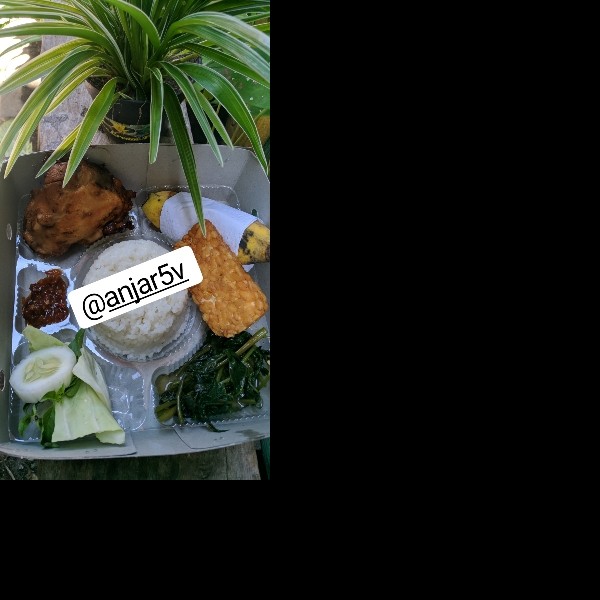 Nasi Ayam bakar
