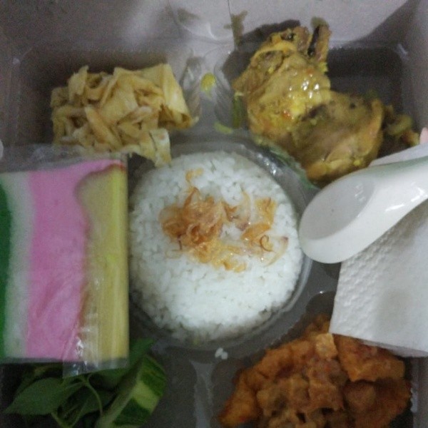 Nasi Gurih Opor