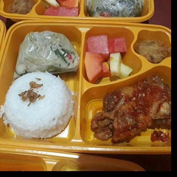 Nasi lodeh