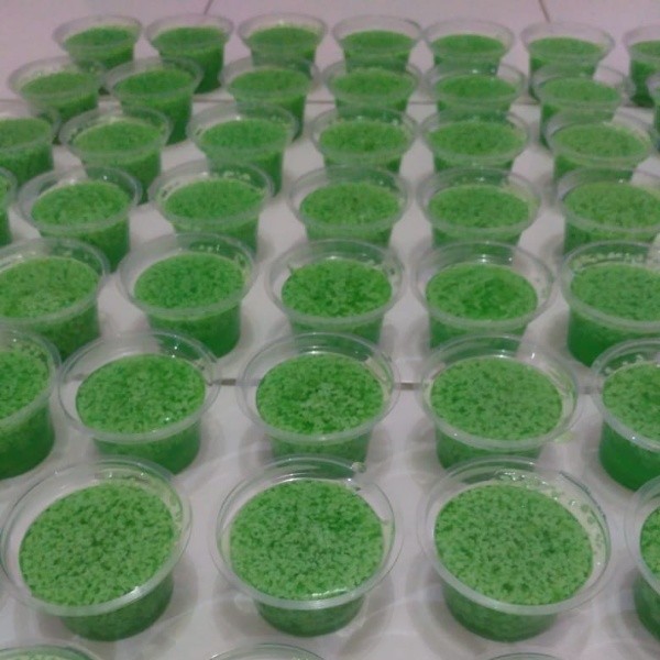 Pudding Lumut