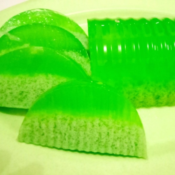 Pudding Lumut 