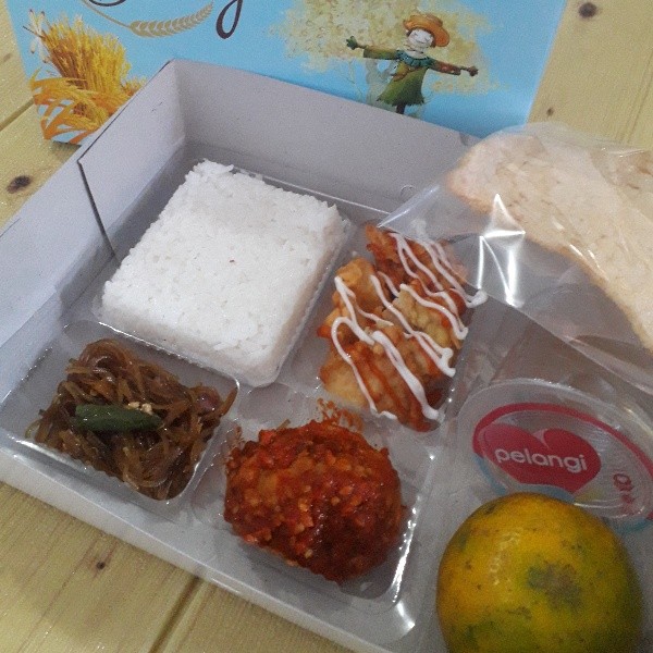 Nasi Paket B