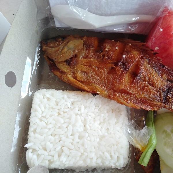 Nasi ikan 