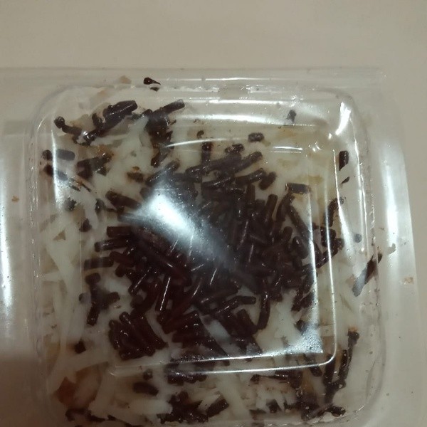 Ketan susu