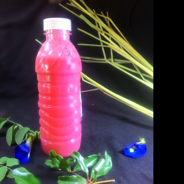 jus jambu