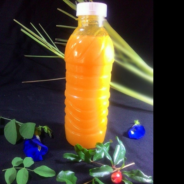 jus mangga