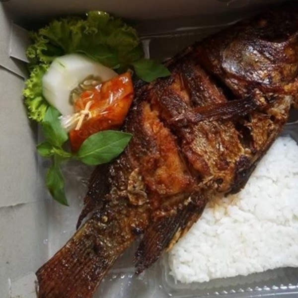 Nasi nila