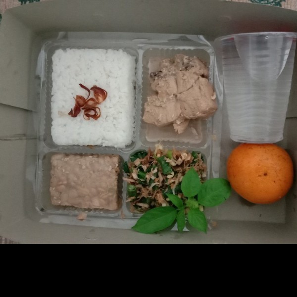 Nasi megono