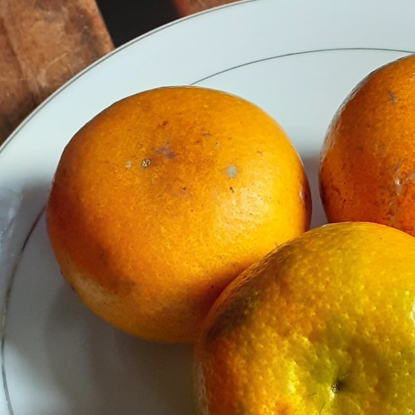 Aneka buah