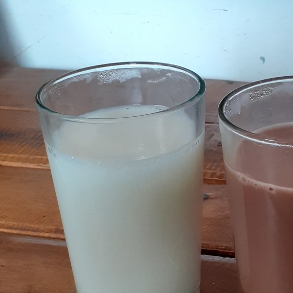 Susu segar