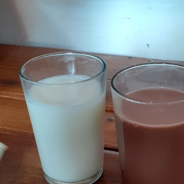 Susu segar