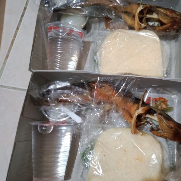 Nasi box