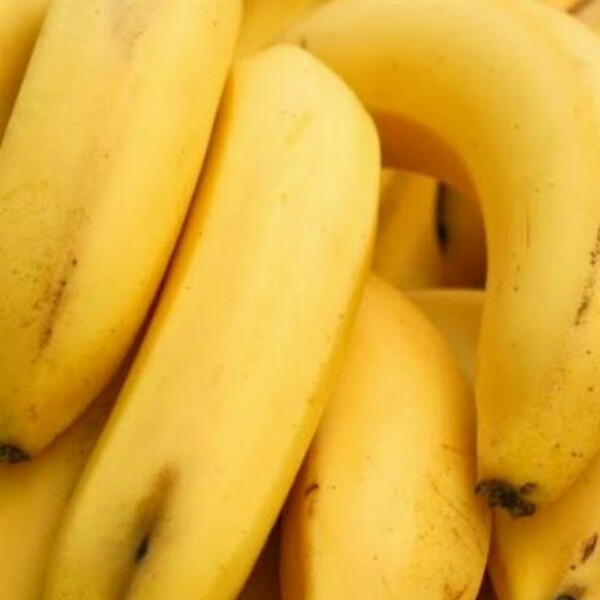 Pisang