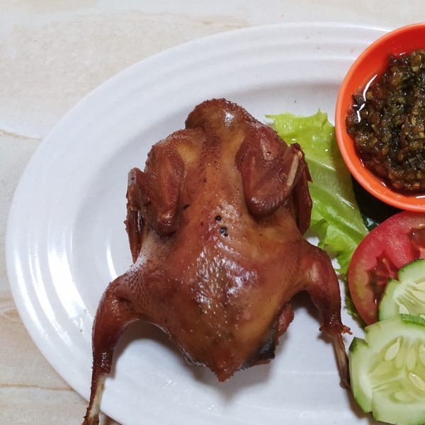 Puyuh 