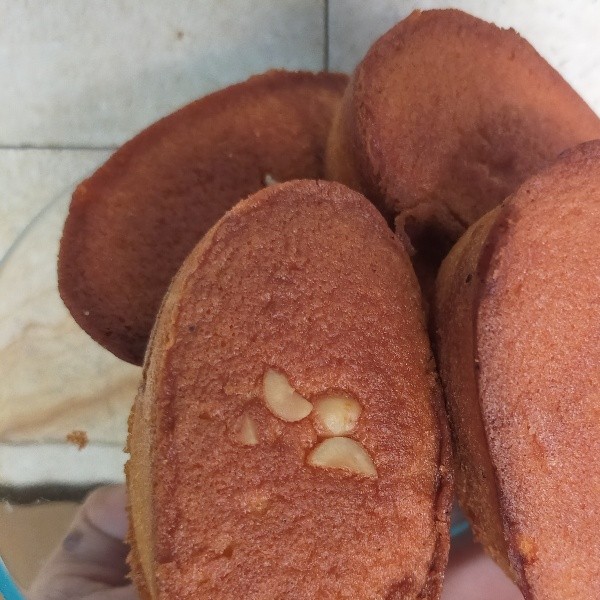 Bolu kenari